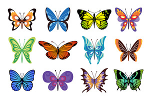 Collection Of Color Butterfly. Hand