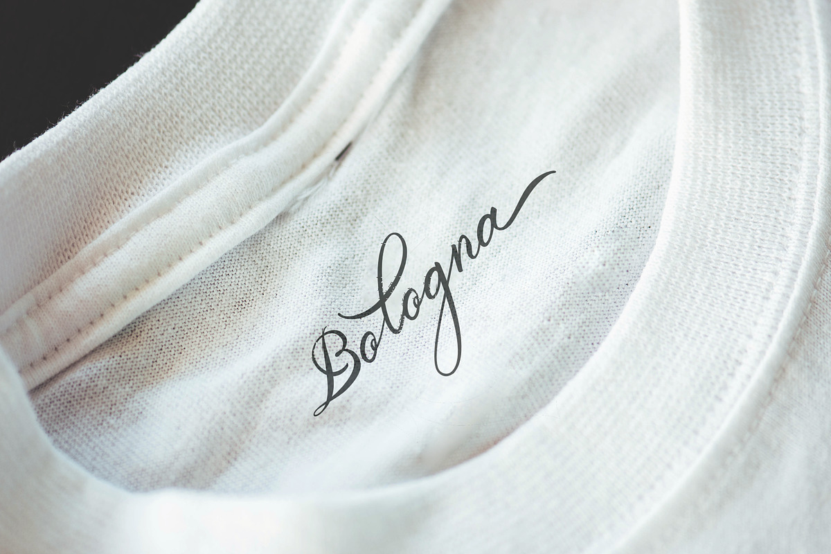 Belgian Signature, a Script Font by Andika Fez (Photo 10 of 19)