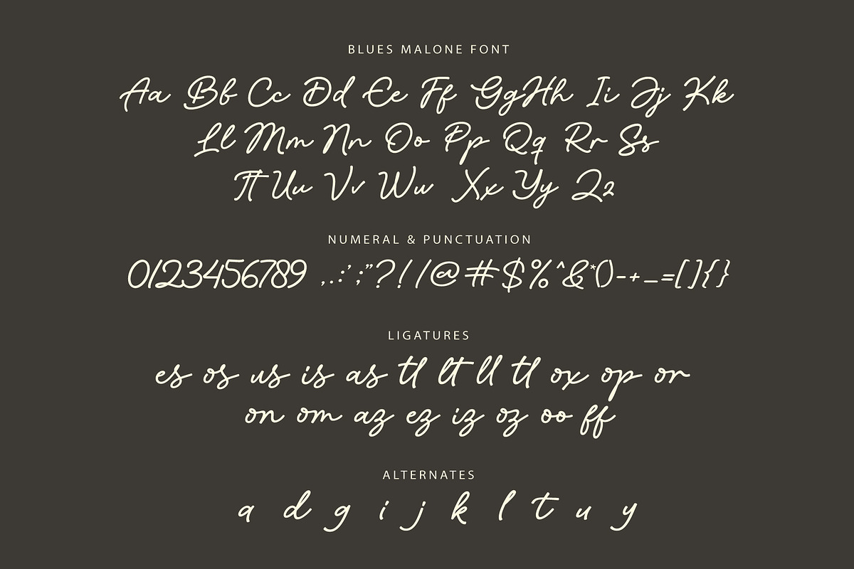 Blues Malone / Monoline Signature, a Script Font by Subectype Studio (Photo 10 of 10)