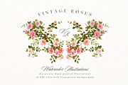 Vintage roses, a Decorative Illustration by AnnelyBlooms (Thumbnail 1 of 7)