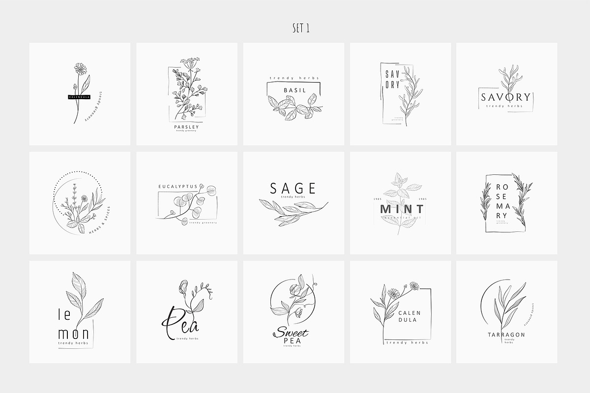 Spices. 30 Premade logos & branches, a Branding & Logo Template by Merfin (Photo 4 of 8)