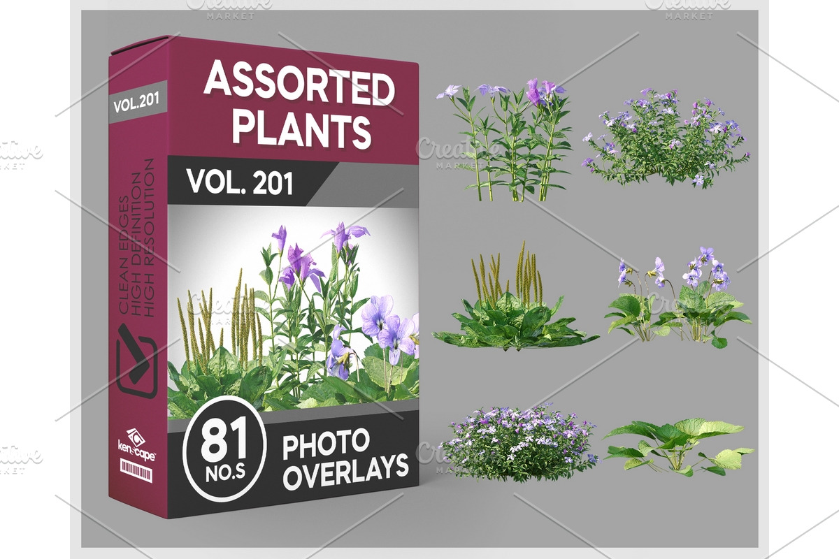 81 Assorted Plants Photo Overlays, a Nature Photo by KenScape (Photo 1 of 3)