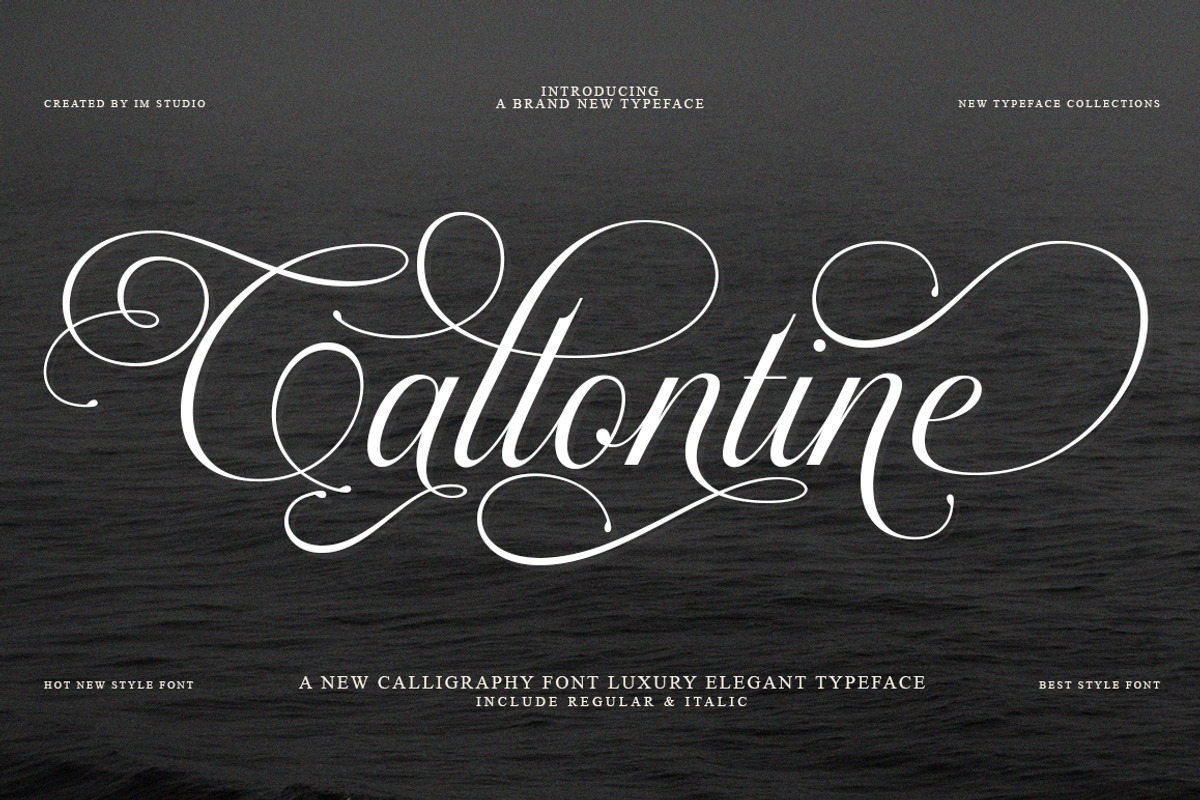Callontine Script Pro, a Script Font by IM Studio (Photo 1 of 13)