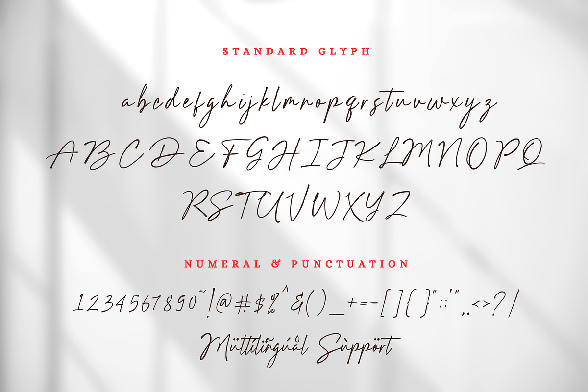 Hildera Script, a Script Font by Sronstudio (Photo 14 of 15)