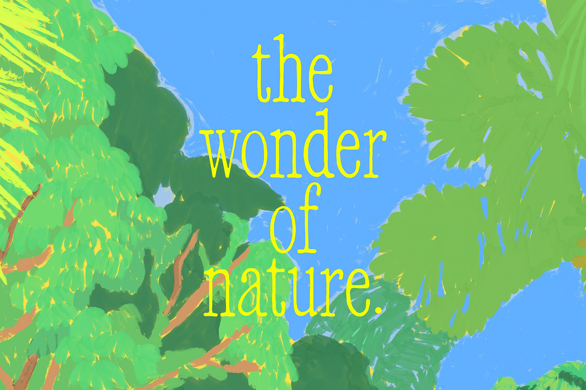 Paintings of Key West, Florida, a Graphic by Studio Funshop by Kelli (Photo 4 of 9)