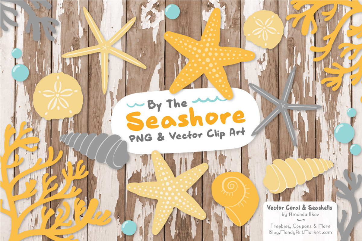 Sunshine Vector Seashells, an Illustration by Amanda Ilkov (Photo 2 of 5)