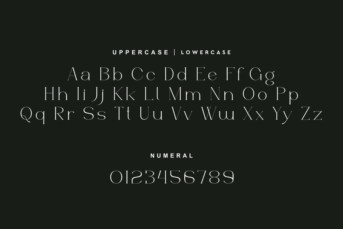 Acageto - Modern Luxury Font, a Serif Font by QR Design Studio (Photo 4 of 16)