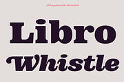 DT Augustina Slab 3 Subfamily, a Slab Serif Font by Deveze Type Foundry (Thumbnail 15 of 31)