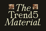 Secth Vought–Luxury Editorial Serif, a Serif Font by MaikoHatta (Thumbnail 3 of 10)