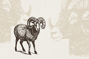 Farm Animals Illustrations, an Animal Illustration by Nocturnal Wolf (Thumbnail 3 of 14)