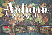 Autumn leaves bundle containing autumn, autumnal, and bundle, a Nature Photo by North & Beard Ltd (Thumbnail 1 of 5)