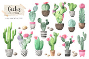 Watercolor Exotic Cactus Collection, a Texture Illustration by LarysaZabrotskaya (Thumbnail 2 of 11)