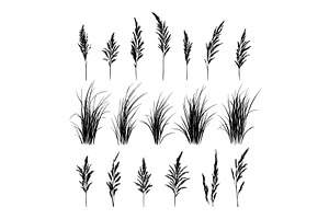 Curly Grass Hand Drawn Illustrations, an Object Illustration by LadadikArt