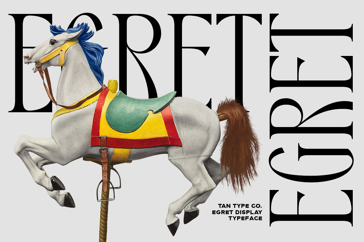 TAN - EGRET, a Serif Font by TanType (Photo 10 of 19)