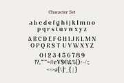 Riuka Font – Aesthetic Font, a Serif Font by Burhan Afif (Thumbnail 7 of 9)