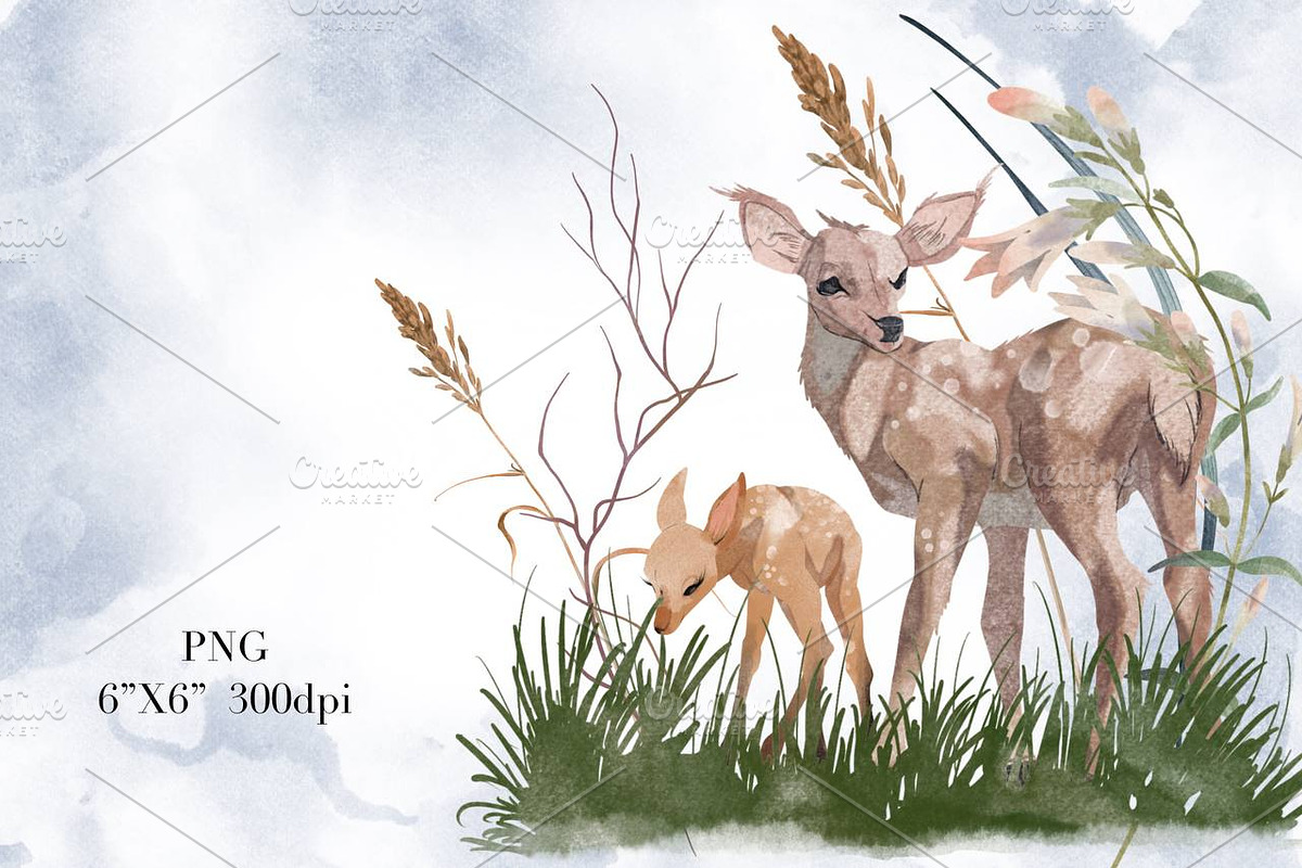 Watercolor Cute Forest clipart., an Animal Illustration by NKTKNS (Photo 6 of 10)