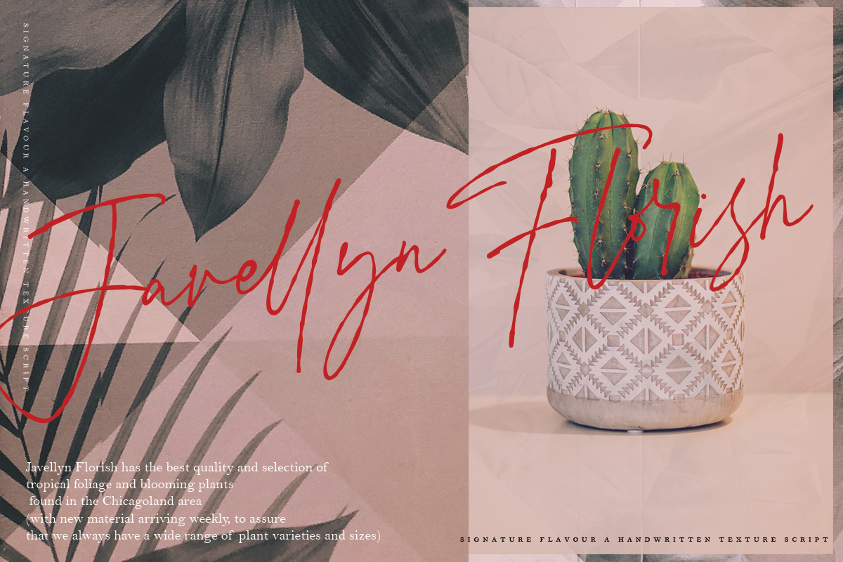 Signature Flavour | Handwritten Font preview 7