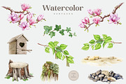 Forest Birds Watercolor Set, an Animal Illustration by AnitaPol (Thumbnail 24 of 26)