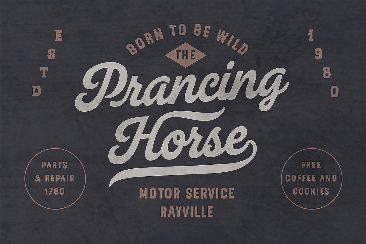 Legend Script, Sans & Serif (Soft), a Script Font by Andrey Sharonov (Photo 10 of 19)