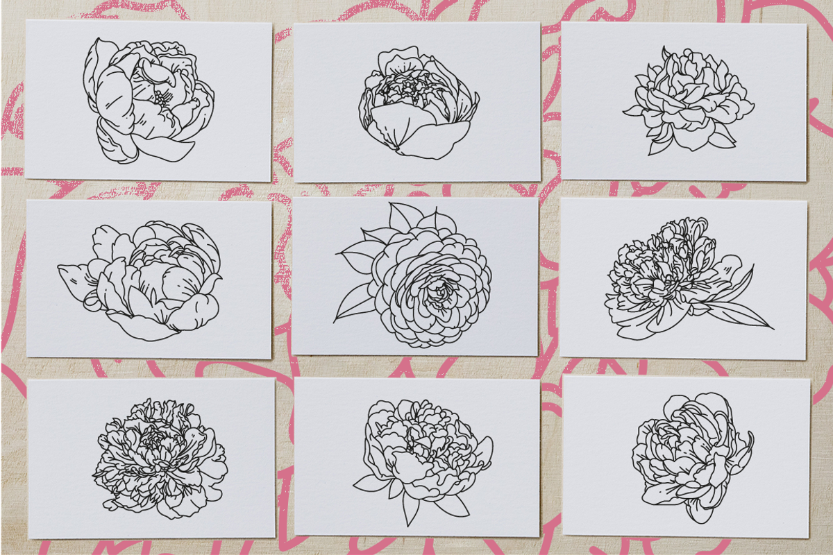50 Peony Flower Vector Illustrations, an Illustration by Inkwell Supply Co (Photo 3 of 20)