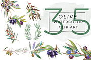 OLIVE Watercolor Clip Art, an Illustration by Alim Yakubov (Thumbnail 1 of 6)