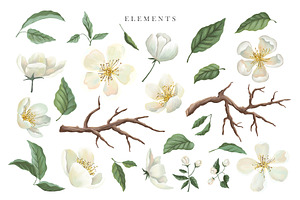 White Blossom Collection