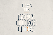 Thorn & Tale – A Refined Serif Font, a Serif Font by VP Fonts (Thumbnail 20 of 30)
