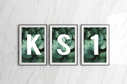 Triple Poster Frame