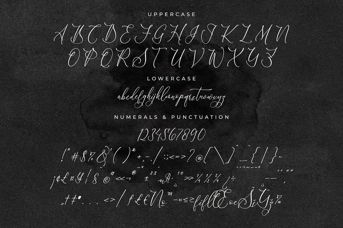 Scarlet Flettcher Elegant Calligraph, a Script Font by Storytype Studio (Photo 12 of 14)