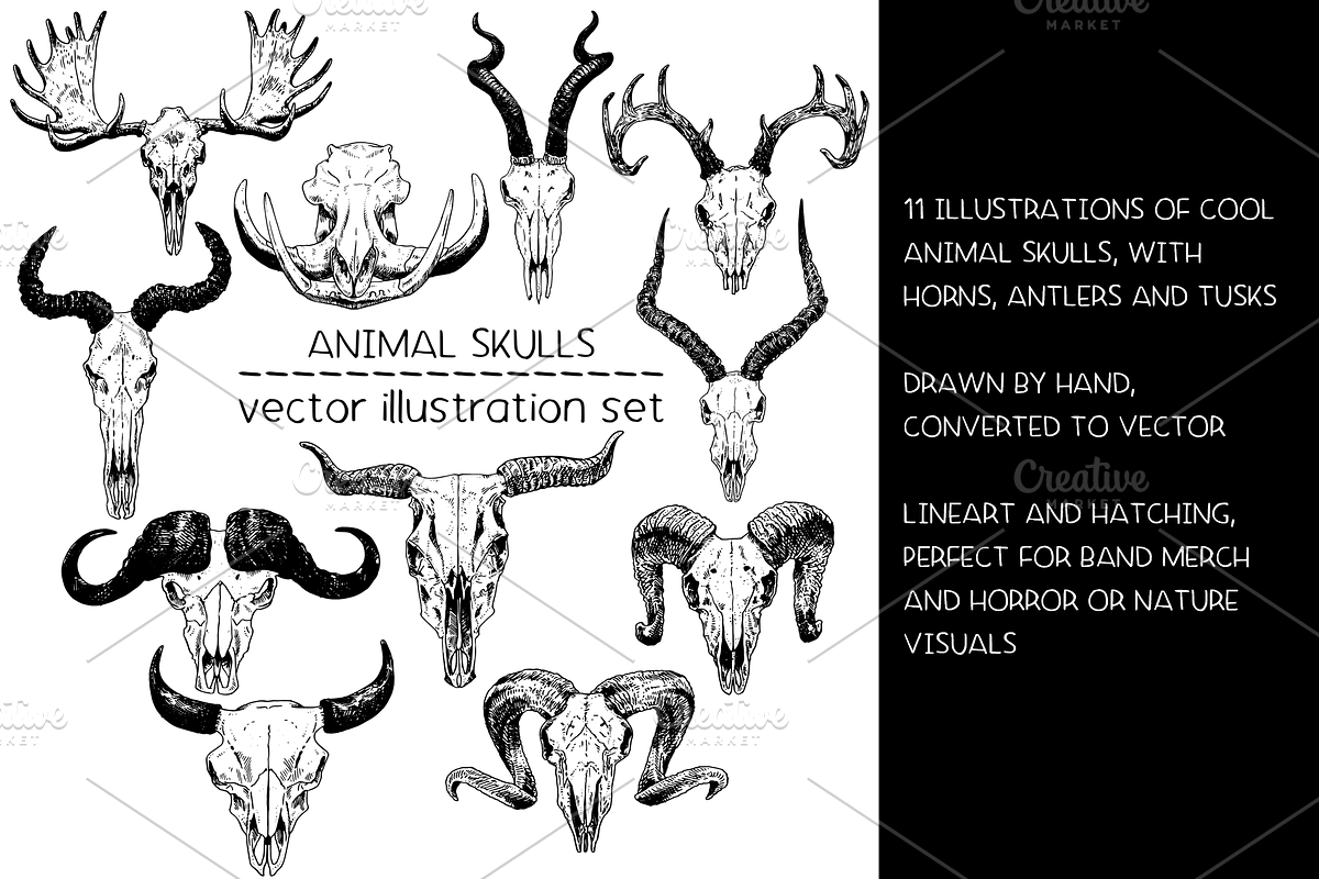 Animal skulls - vector illustrations, an Animal Illustration by Renée from Studio neetje (Photo 2 of 3)