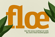 Serifnova, a Serif Font by graphicook (Thumbnail 6 of 10)