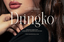 Dringko Elegant Serif Font