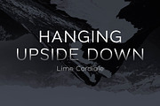 JT Marnie, a Sans Serif Font by JAM Type (Thumbnail 12 of 13)