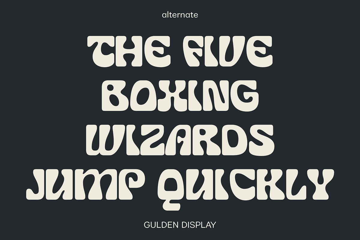 Gulden Display, a Font by Studio Gulden (Photo 5 of 12)
