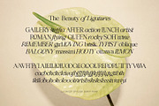 Luckiest | Stylish Serif Font, a Serif Font by Krismagraph (Thumbnail 15 of 16)