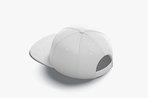 Shapback Cap 3D Model