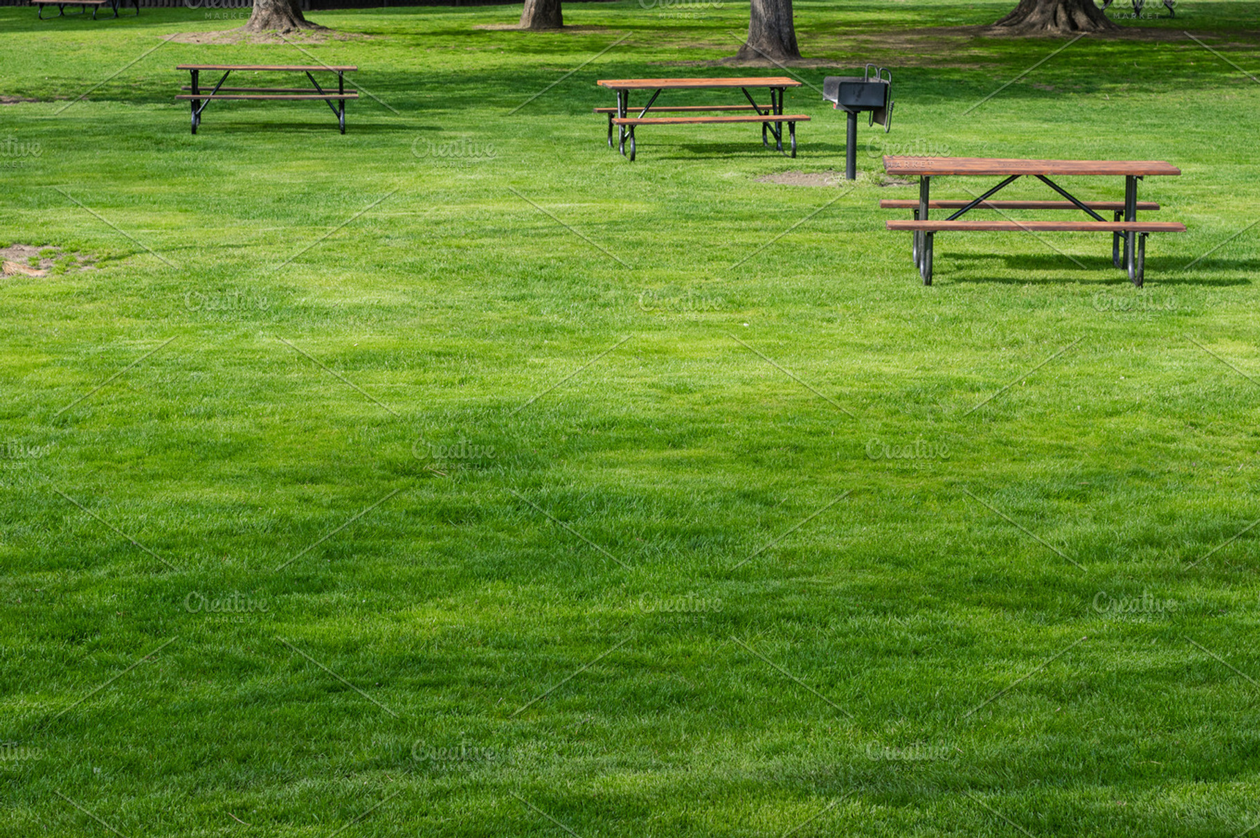 Picnic Tables In Public Park Stock Photo Containing Park And Grass