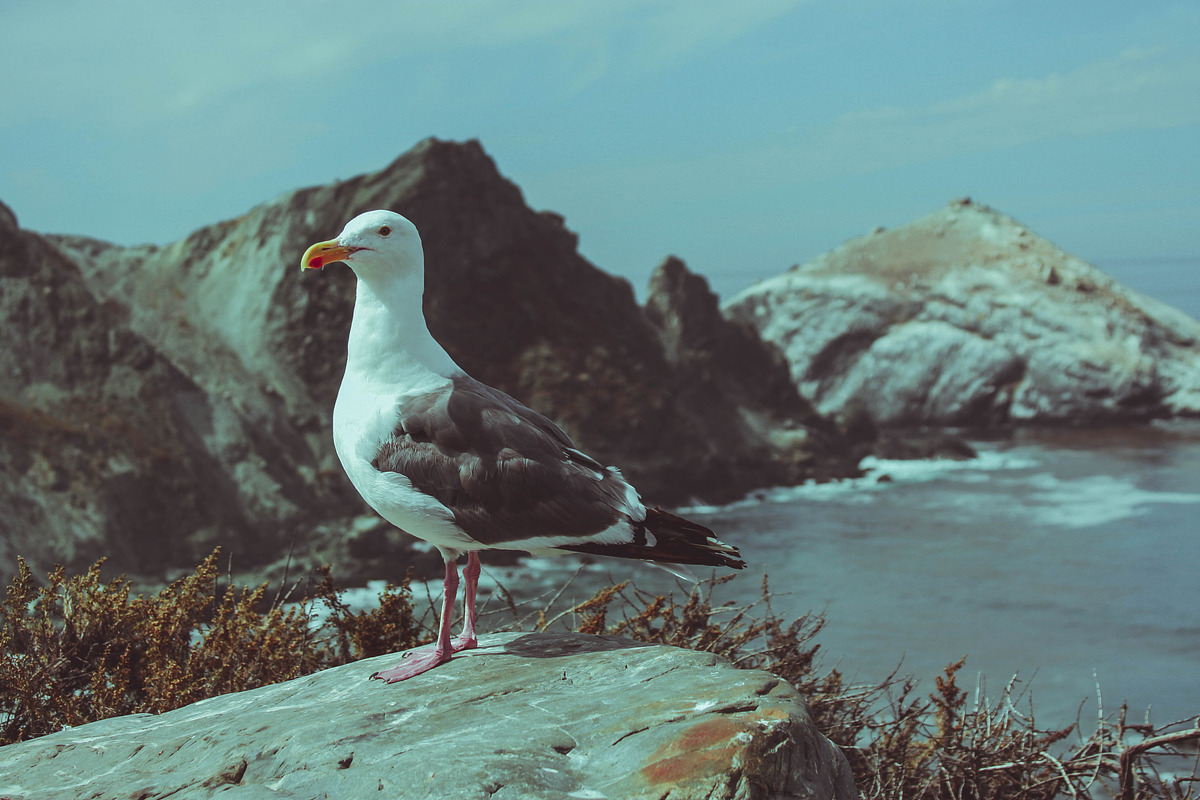 162 Landscape Presets Bundle, a Preset Add-On by Timeless Presets (Photo 13 of 14)