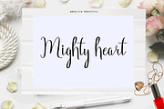 Angelica (Black Friday Sale), a Script Font by Deniz86 (Thumbnail 11 of 11)