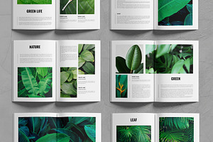 Botanical Magazine