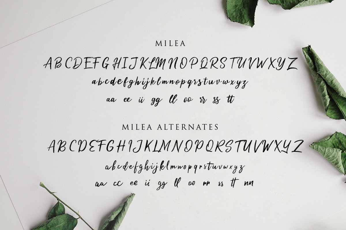 Milea - Handwritten Brush Font Duo preview 7
