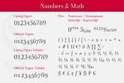 Omologo Serif Semi Stencil font, a Serif Font by Bellini studio (Thumbnail 4 of 13)