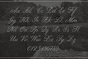 Lace House Stitched Embroidery Font, a Script Font by AnMark (Thumbnail 9 of 11)