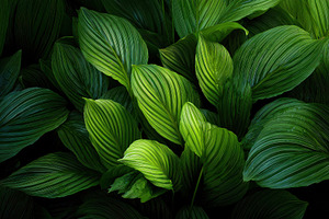 Lush Green Tropical Leaves Natural T, a Photo by Pixeness Studio