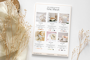Wholesale Line Sheet Canva Template, a Flyer Template by Hellohastore (Thumbnail 8 of 11)