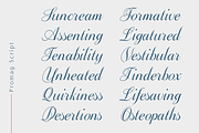 Promag Font Duo (Family), a Sans Serif Font by xdCreative (Thumbnail 9 of 15)