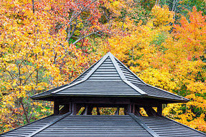 Rooftop detail with autumn foliage, a Nature Photo by BOOCYS