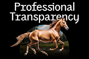 Animal Collage Creator, an Animal Photo by Salih Kizilkaya (Thumbnail 5 of 5)
