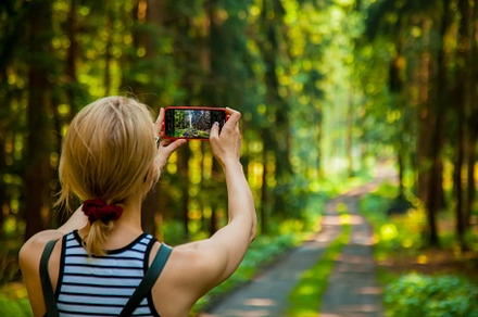 Woman making an image using mobile phone in a forest, a Person Photo by Masson Simon