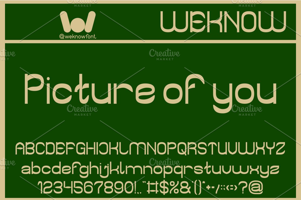 Portrait Photography font, a Sans Serif Font by weknow (Photo 4 of 8)